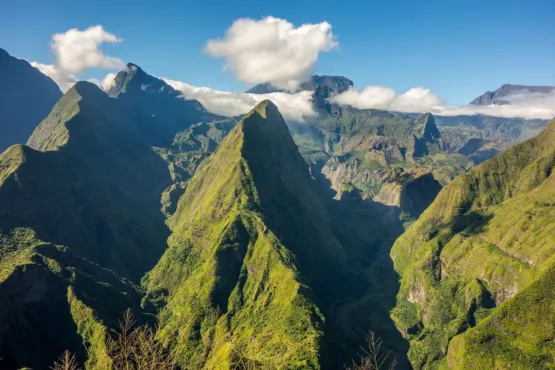 chauffeur professionnel visite et tourisme saint paul la reunion